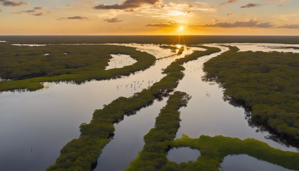 serene wetland habitat in florida